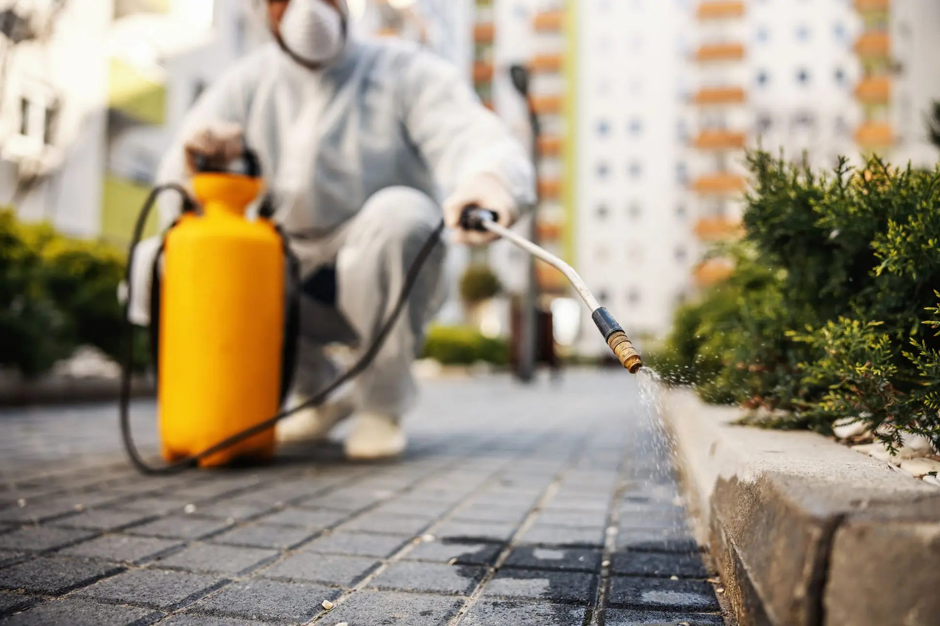 Long's Pest Control technician disinfecting a building exterior